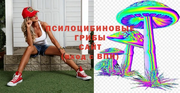 ГАЛЛЮЦИНОГЕННЫЕ ГРИБЫ Абинск
