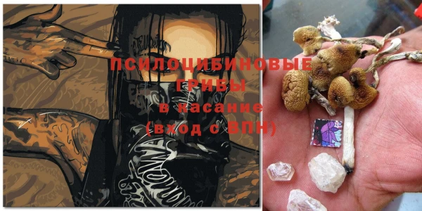 спайс Алзамай