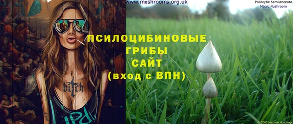 спайс Алзамай